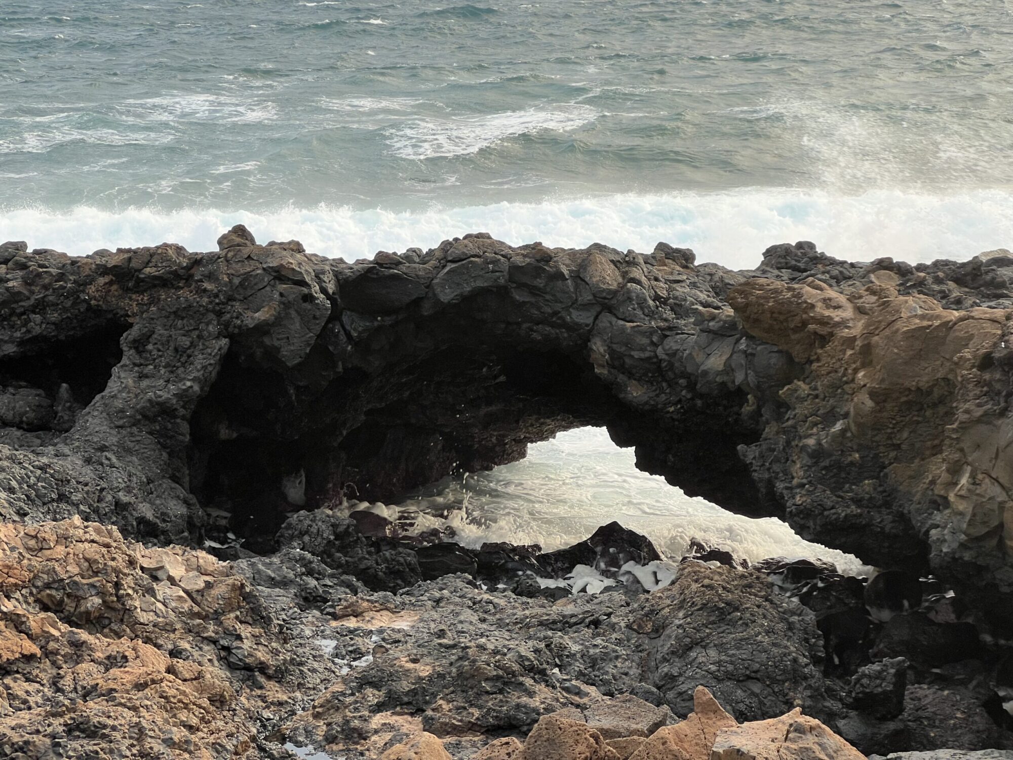 lanzarote trail, coastal, charco del palo, cocoteros, secret garden lanzarote